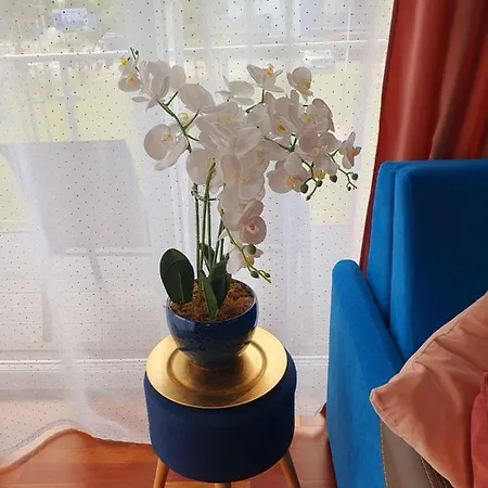 Comfort I